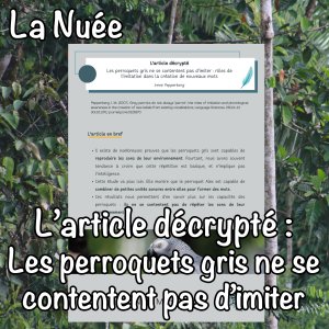 L'article décrypté : Les perroquets gris ne se contentent pas d’imiter : rôles de l’imitation dans la création de nouveaux mots