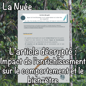 L'article décrypté : Impact de l’enrichissement sur le comportement et le bien-être des calopsittes