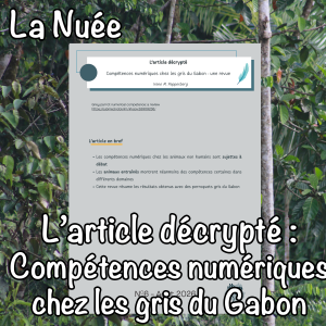 L'article décrypté : Compétences numériques chez les gris du Gabon : une revue
