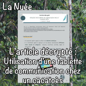 L'article décrypté : Utilisation d’une tablettede communication chez un cacatoès Goffin