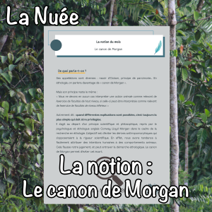 La notion du mois : le canon de Morgan