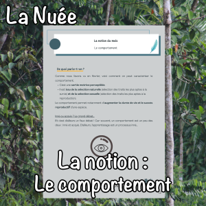 La notion du mois : le comportement