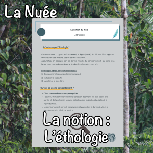 La notion du mois : l'éthologie