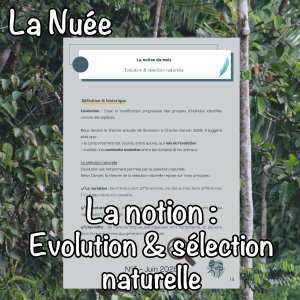 La notion du mois : Evolution & sélection naturelle