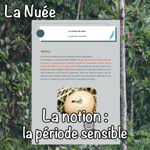 La notion du mois : la période sensible