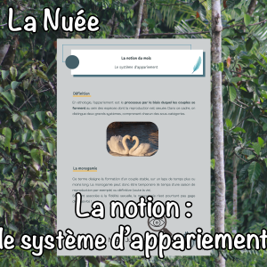 La notion du mois : le système d'appariement