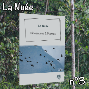 La Nuée n°3 - Le jeu social / Le grand Eclectus / Le comportement